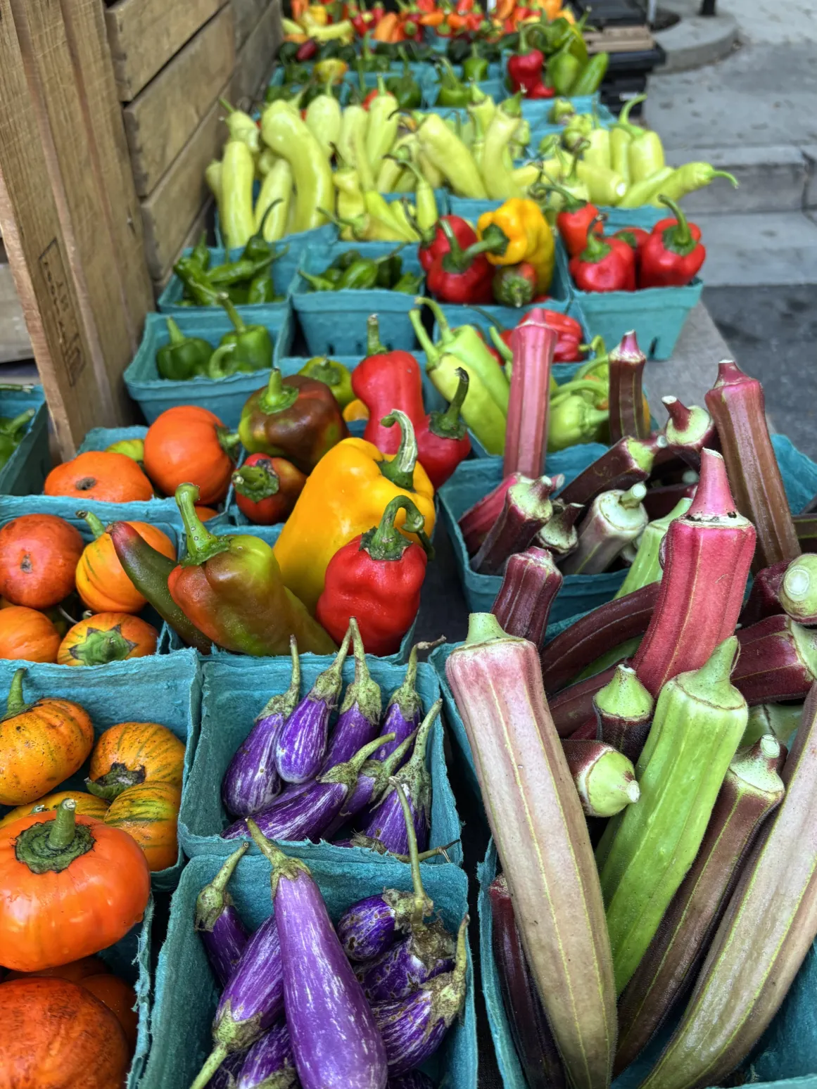 Colorful fresh vegetables, including peppers, eggplants, okra, and squash, displayed in teal baskets at a market.